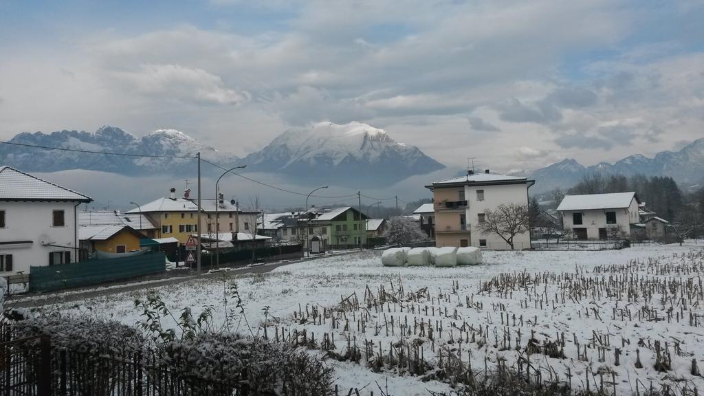 B&B Colli'S Dolomites Belluno Eksteriør billede